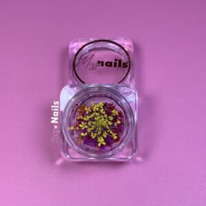 Naturaleza muerta Miss Nails